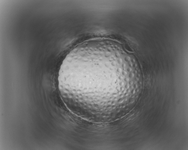 X0000059801205200511041618