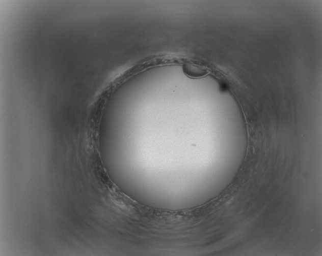 X0000059801207200511041618