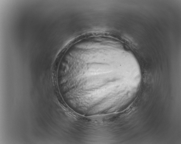 X0000059801208200511041618