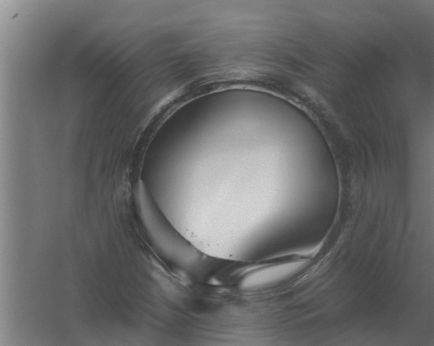 X0000059801210200511041618