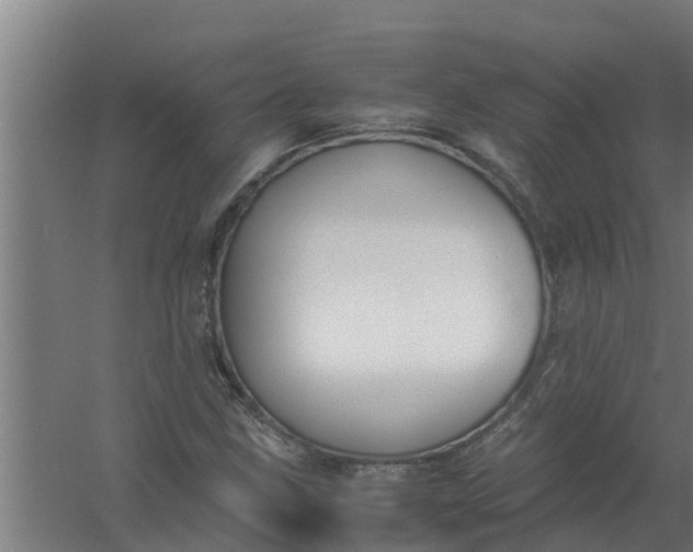 X0000059801211200511041618