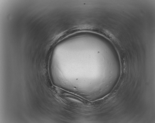 X0000059801213200511041618