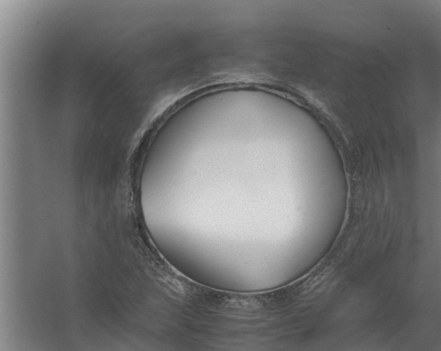 X0000059801215200511041618