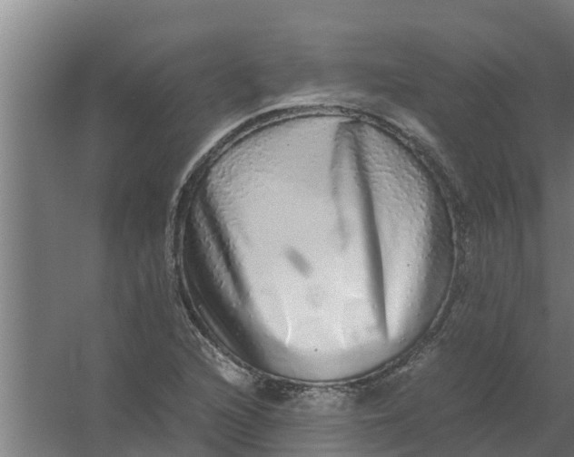 X0000059801216200511041618