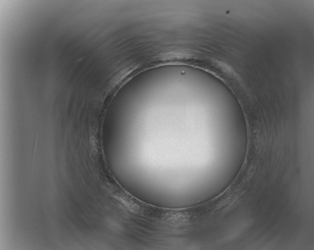 X0000059801217200511041618