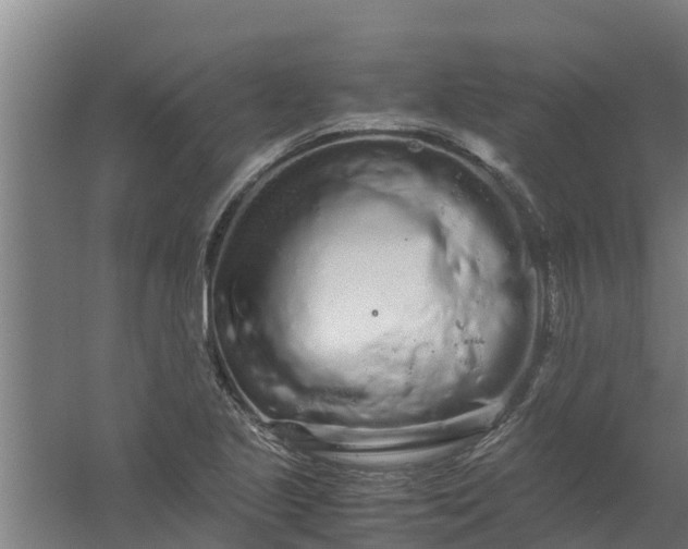 X0000059801221200511041618