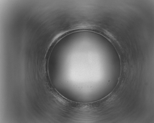 X0000059801222200511041618