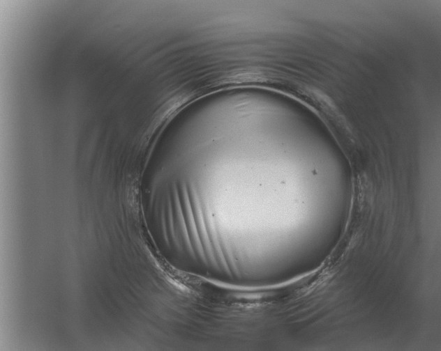 X0000059801225200511041618