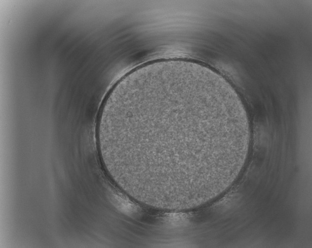 X0000059801226200511041618