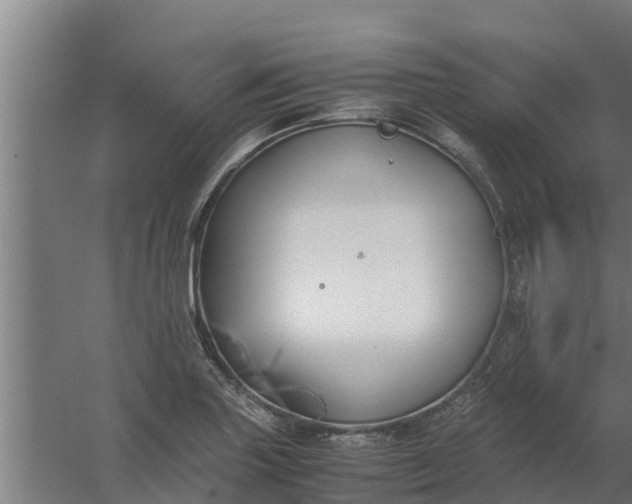 X0000059801227200511041618