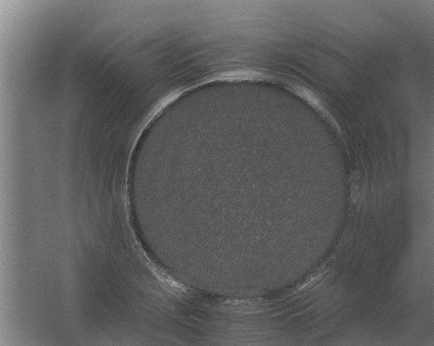 X0000059801229200511041618