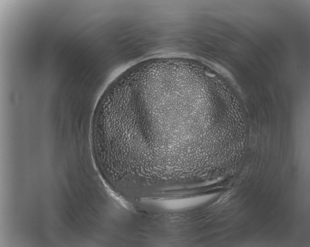 X0000059801231200511041618