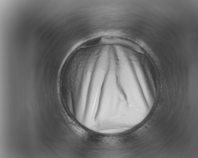 X0000059801232200511041618