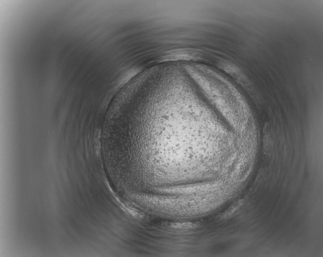 X0000059801233200511041618