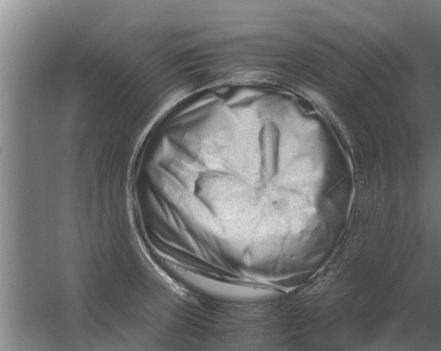 X0000059801235200511041618