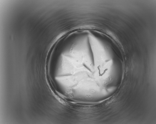 X0000059801237200511041618