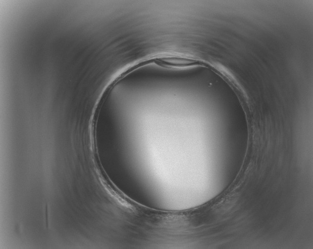 X0000059801238200511041618