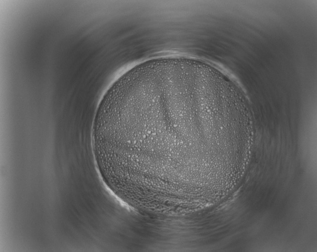 X0000059801239200511041618