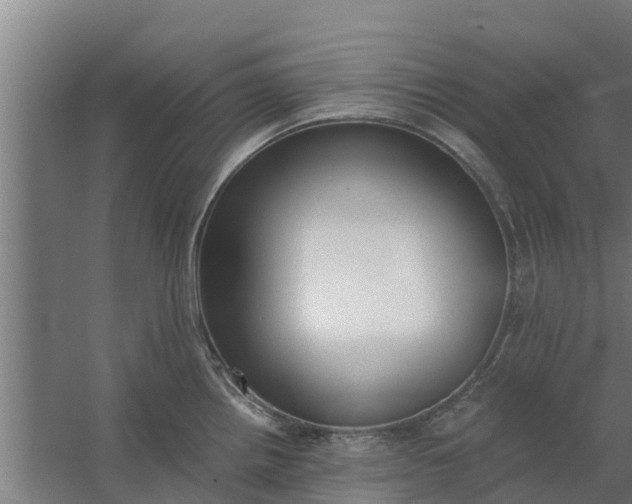 X0000059801242200511041618