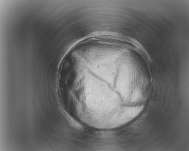 X0000059801244200511041618