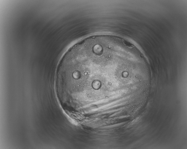 X0000059801245200511041618