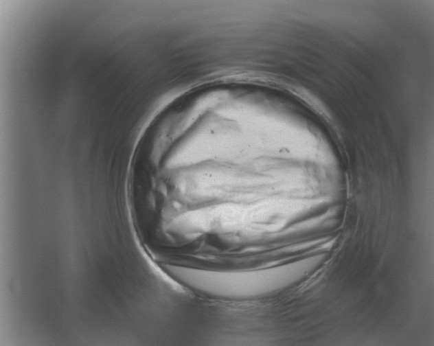 X0000059801247200511041618