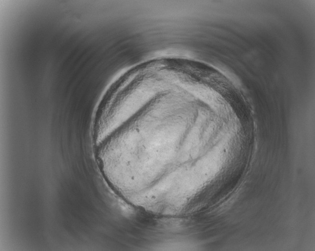 X0000059801248200511041619