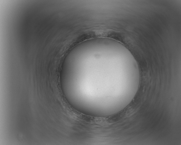 X0000059801249200511041618