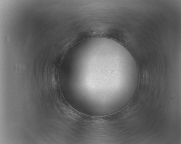 X0000059801250200511041618