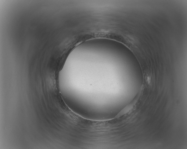 X0000059801252200511041618