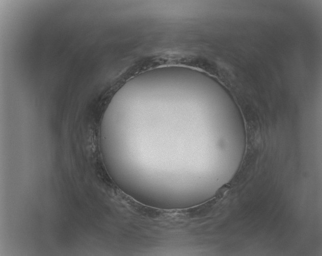 X0000059801253200511041618