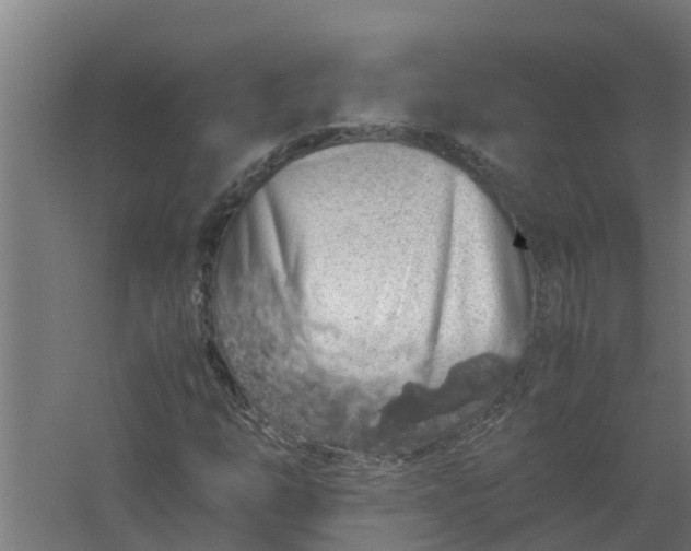 X0000059801254200511041618