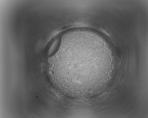 X0000059801255200511041618