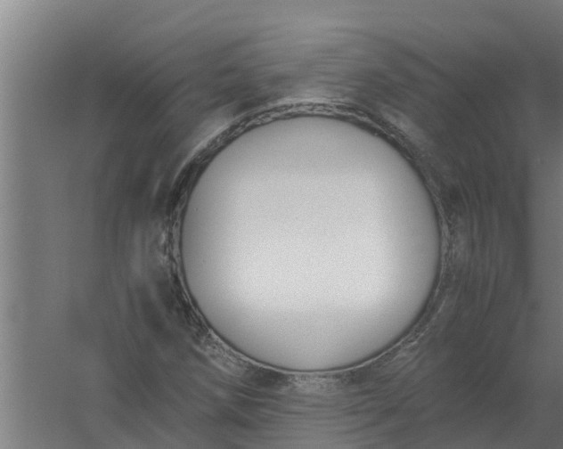 X0000059801258200511041618