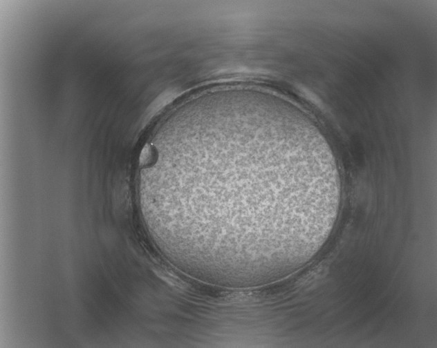 X0000059801259200511041618