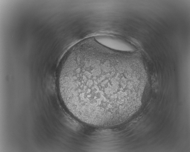 X0000059801260200511041618