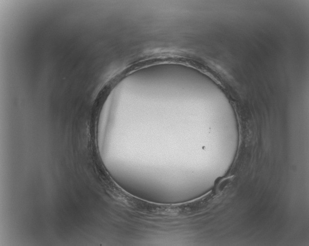 X0000059801261200511041617