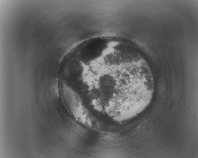 X0000059801262200511041617