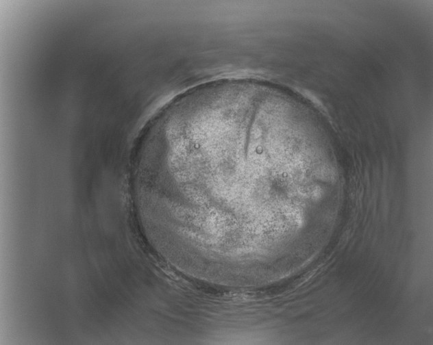 X0000059801263200511041617