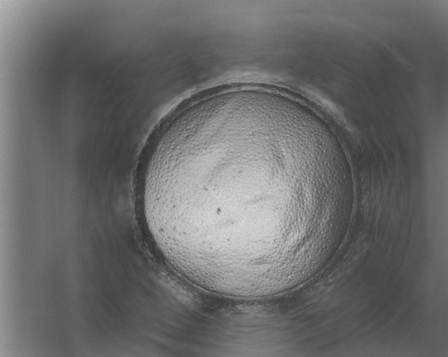 X0000059801264200511041617