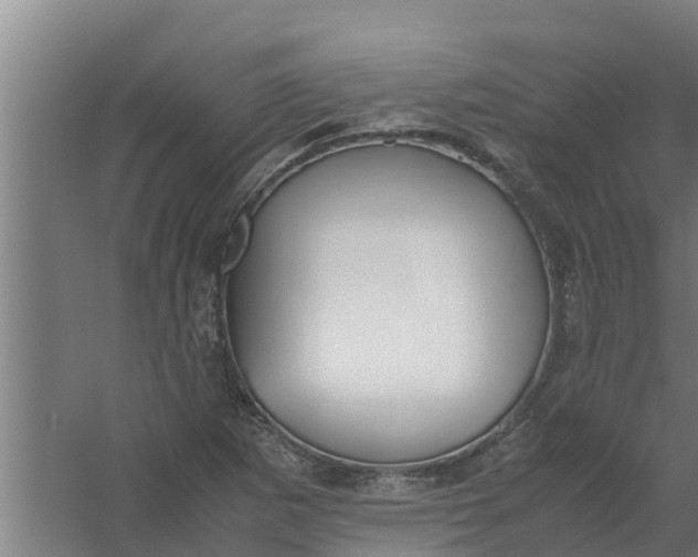 X0000059801265200511041617