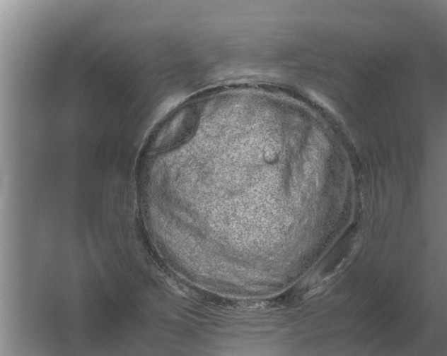 X0000059801267200511041617