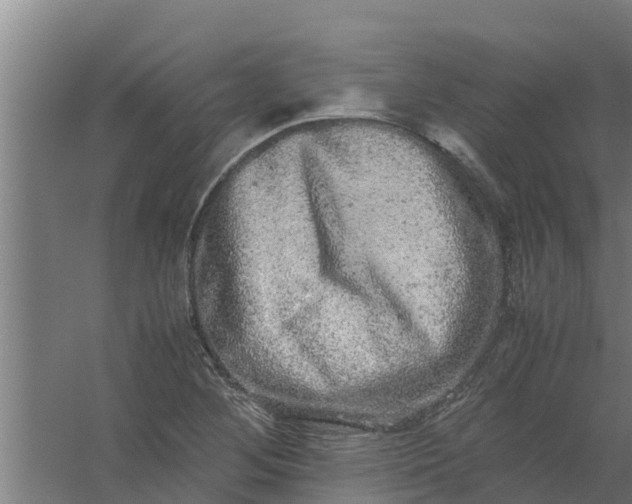 X0000059801268200511041617