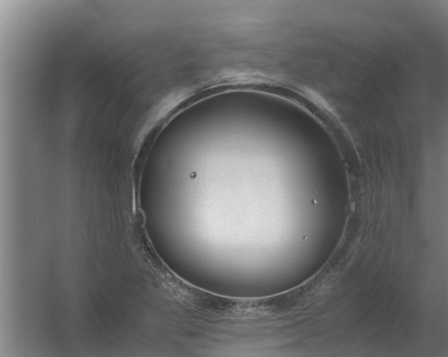 X0000059801269200511041617