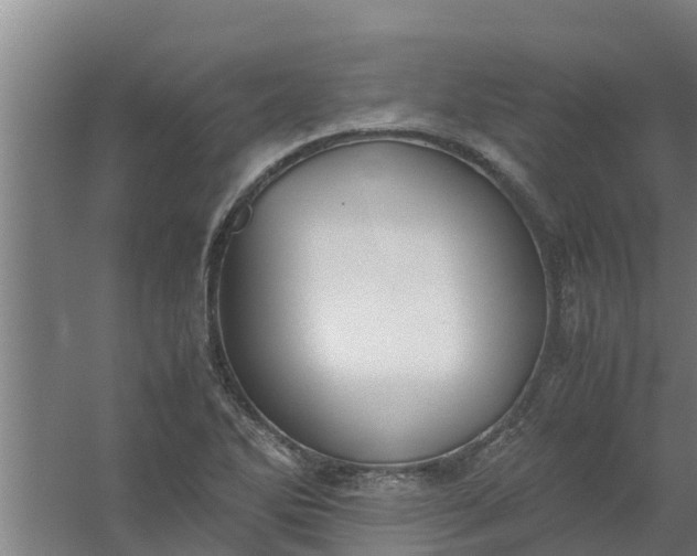 X0000059801270200511041617