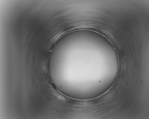 X0000059801273200511041617