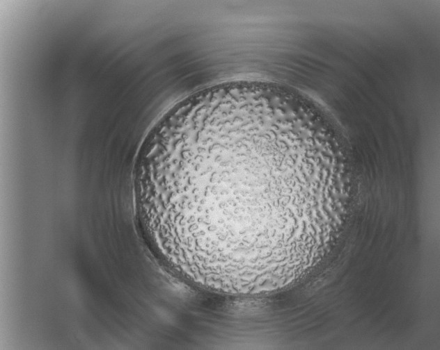 X0000059801274200511041617