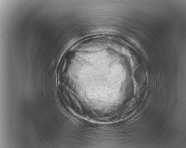 X0000059801275200511041617