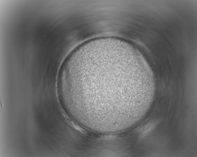 X0000059801278200511041617