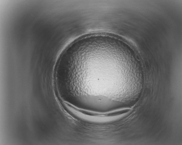 X0000059801279200511041617